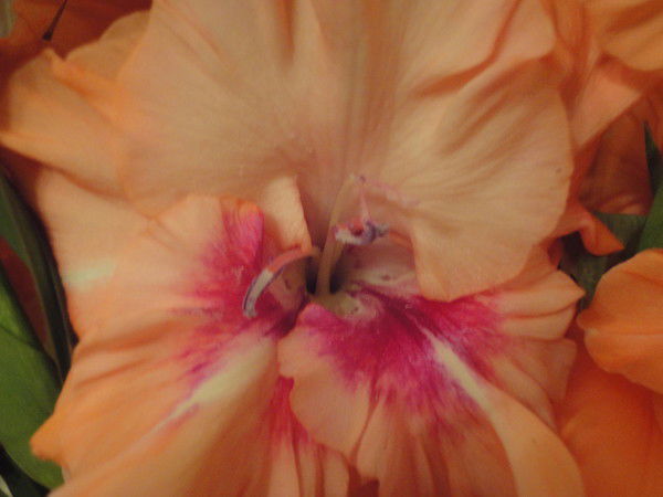 Нина Олеговна Спирина