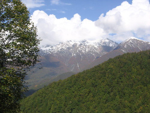 Ирина Семенова