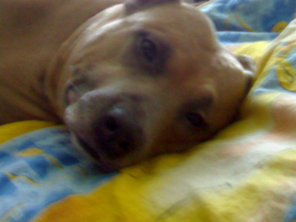 Сергей Прозоров