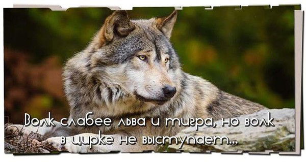 Хусан Эрматов