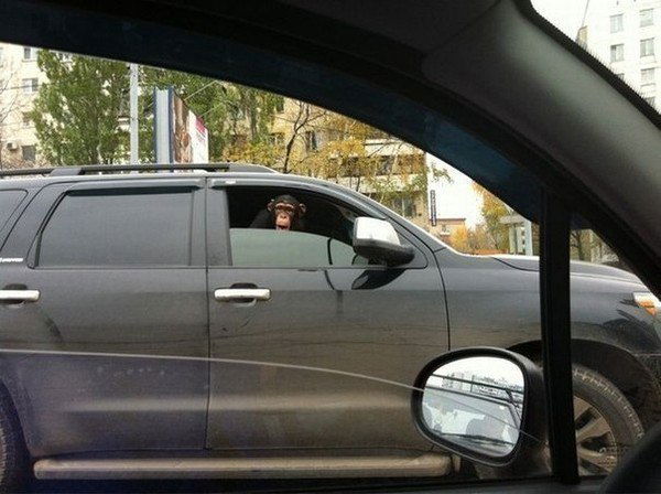 Амиржан Кулбаев