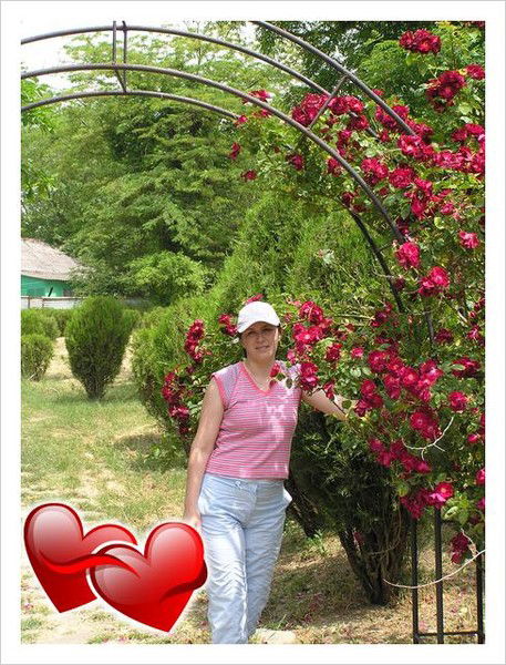 Елена Новицкая