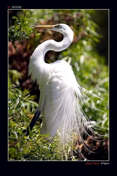 Гульнара Сарсембаева