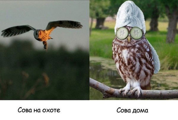 Олеся Усманова