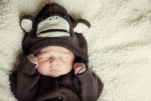 Элина Молчанова