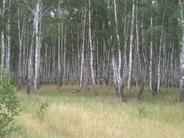 Юрий Сидоров