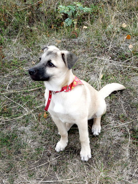 Татьяна Мелихова