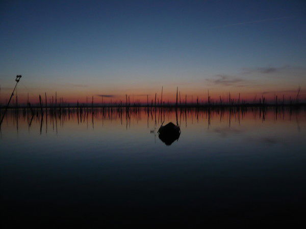 Евгений Евгенич