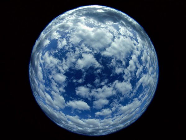 Юлия Стеблина