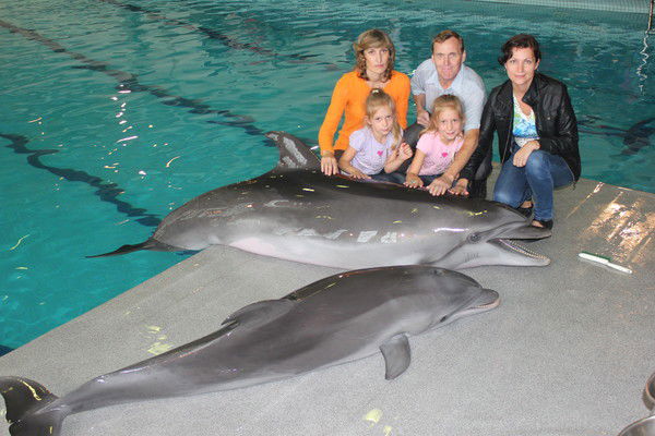 Валерий Сафиуллин