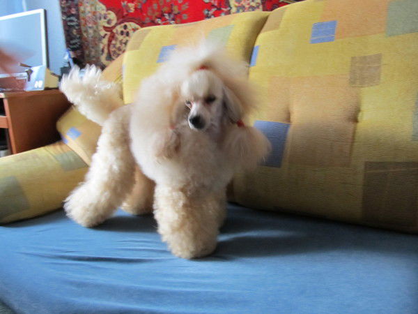 Александра Смирнова