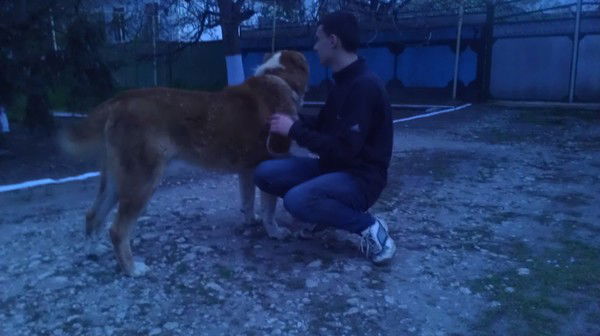 Эмик Герганов