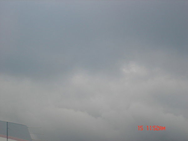 Лариса Синицина