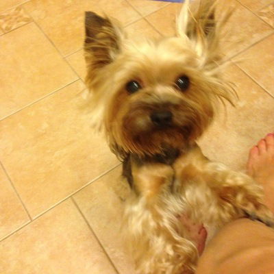 Дарья Ткаченко