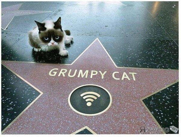 Игорь Горшелев