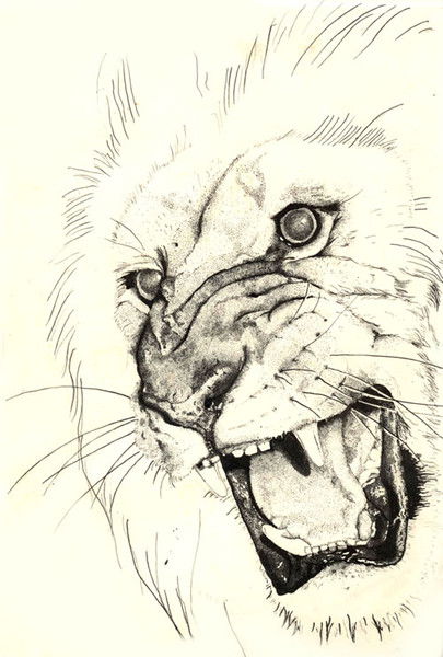 Ерлан Беркеев