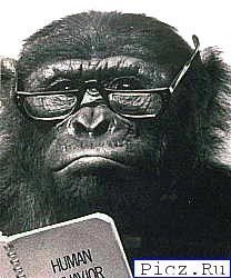 Александр Чижиков