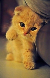 Зарина Нигматуллина