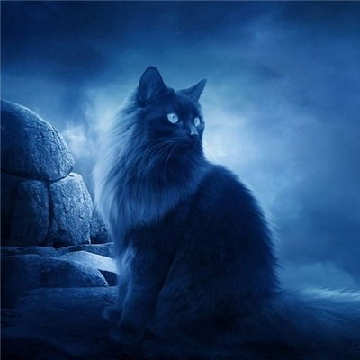 Кристина Назарова