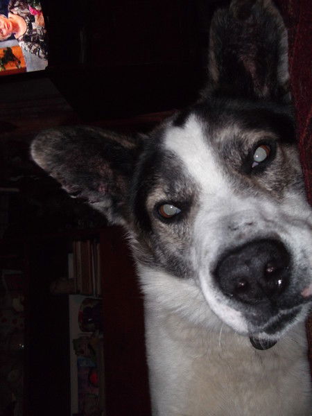 Антон Латухин