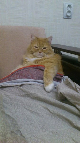 Татьяна Кактус