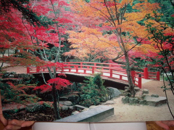 Виталий Виталий