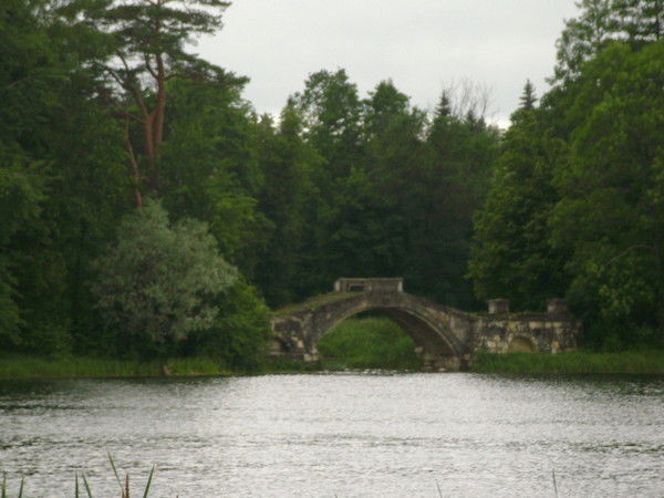 Елена Малахова