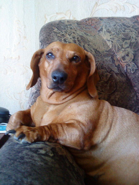 Лидия Кадочникова