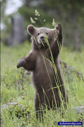 Сергей Смирнов