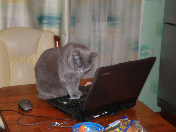 Роман Перов