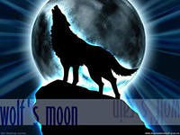 Артур Кашежев