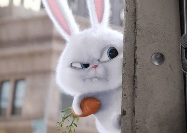 Елена Доронина