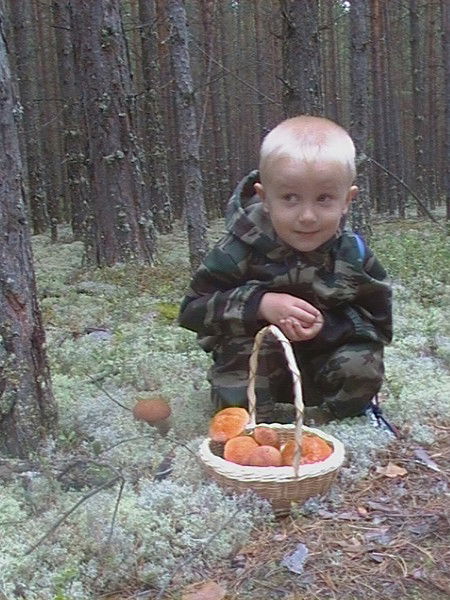 Светлана Сергеева