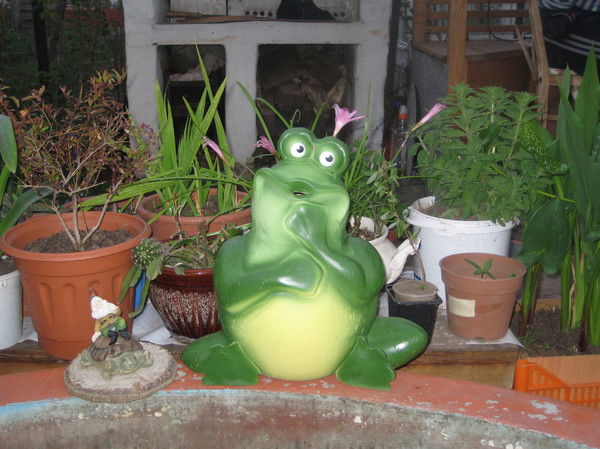 Елена Семенова