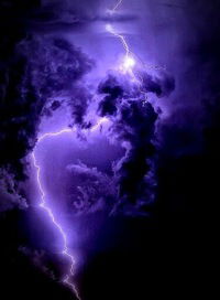 Саша Арясина