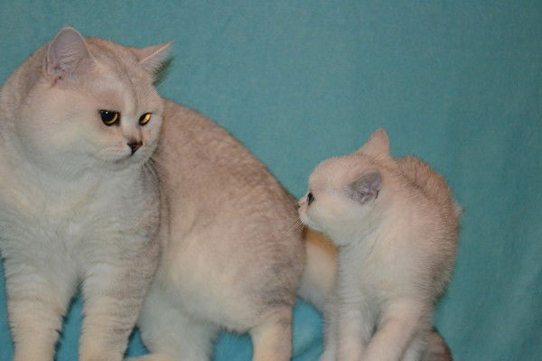 Оксана Иванова