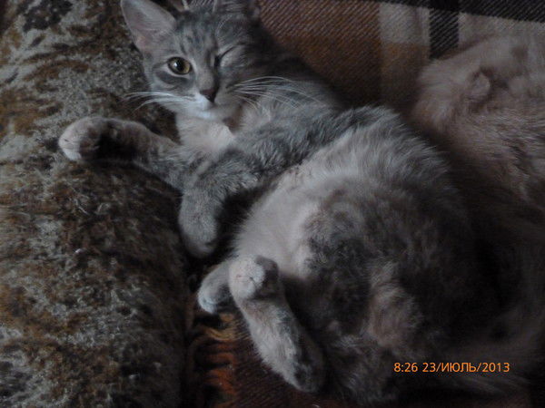 Ольга Лукина