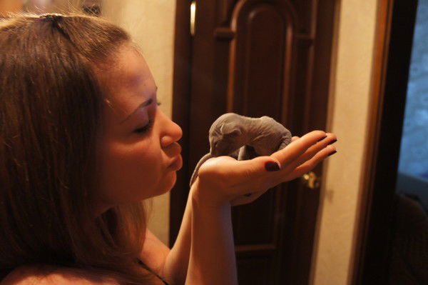 Дарья Шупта