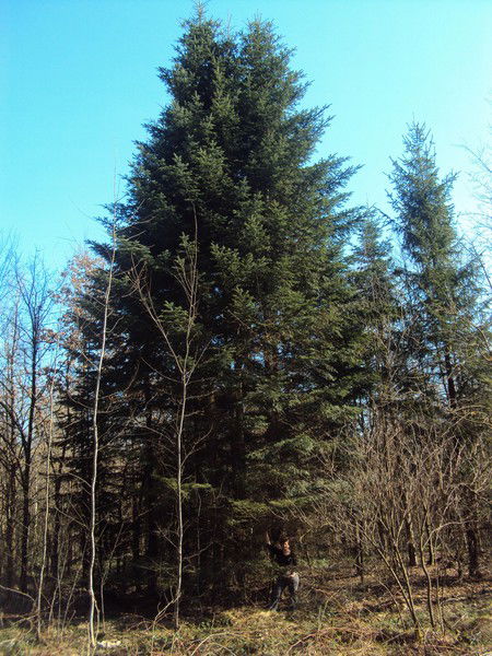 Тамара Мигович