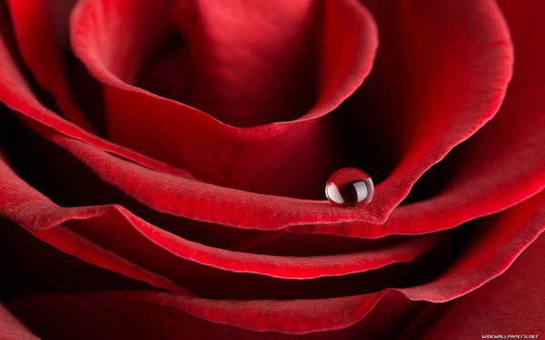 Олег Неизвесный