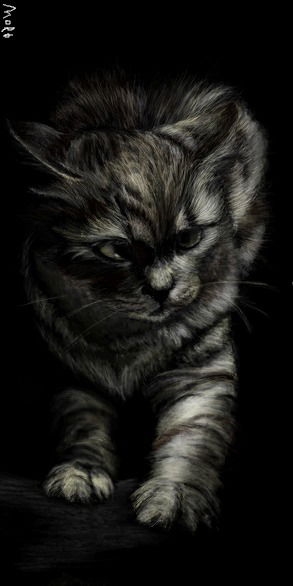 Татьяна Кравчук