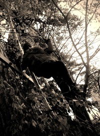 Кристина Малинина