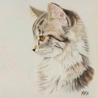 Амина Аушева