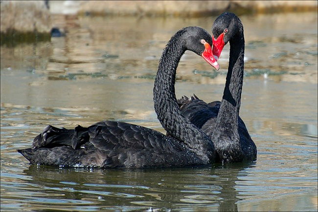 Людмила Титова