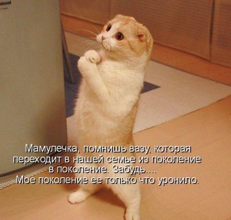 Даниил Боровых