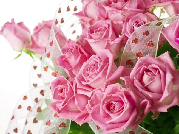 Тойлыева Айгул