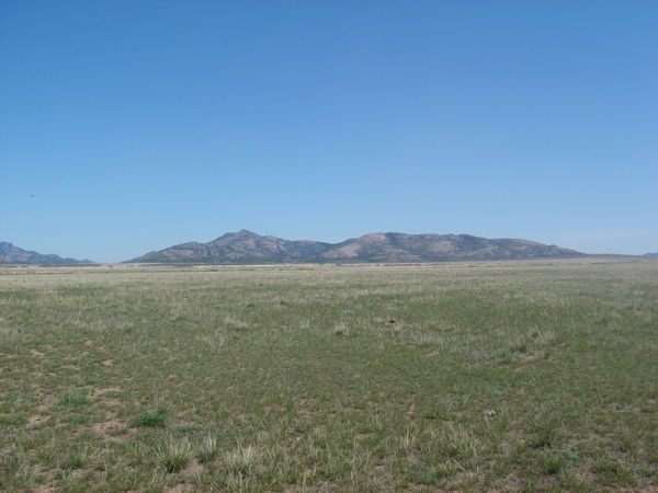 Александр Королевский