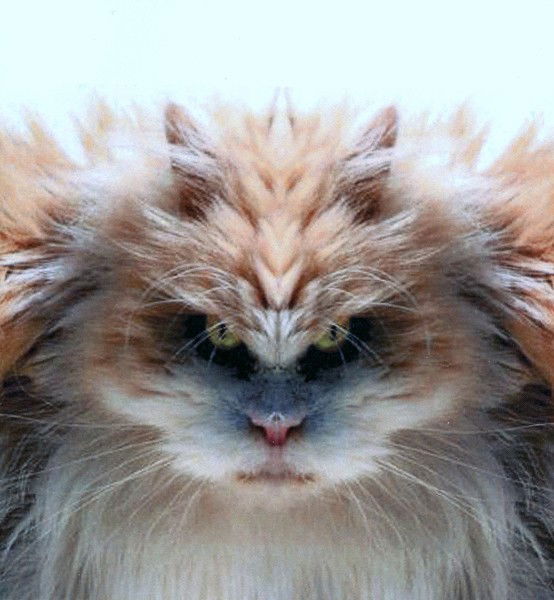 Борис Фащевский