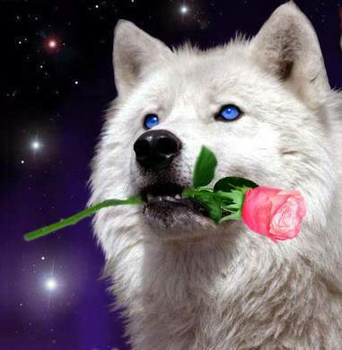 Андрей Агафонов