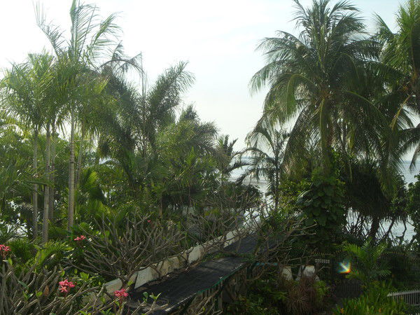 Наталья Анатольевна